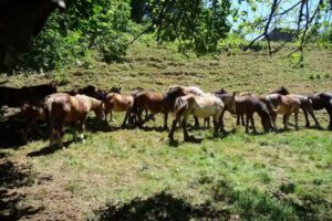 Apartamento El rinconcito de Paularena