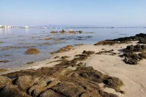 Apartamento en O Grove. Amplio y c&eacute;ntrico piso