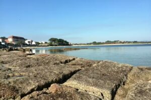 Apartamento Palmeira