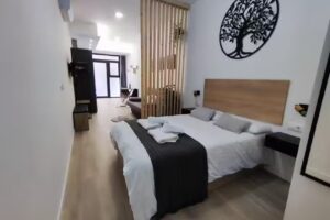 Apartamento R&iacute;o Turia B
