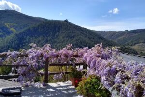 Apartamento rural-. Casa carmen. -Casa da Vita.2