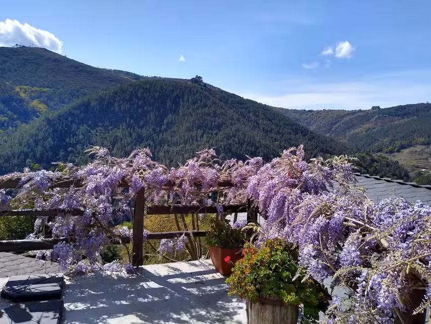 Apartamento rural-. Casa carmen. -Casa da Vita.2