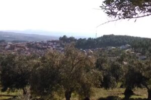 Apartamento Rural La Casa del Telar