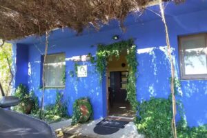 Apartamento Rural La Frondosa