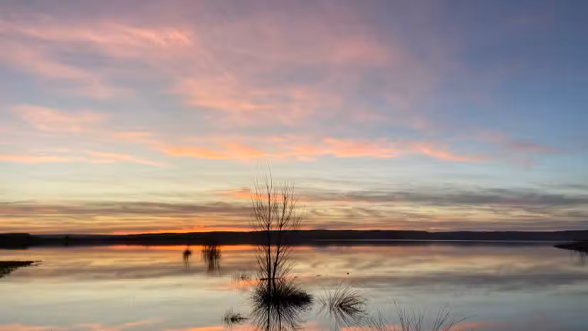 Apartamento Rural La Noguera