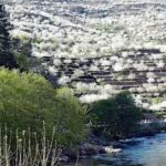 Apartamento Rural San Jorge Bajo