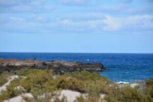 Apartamento Tabaibita