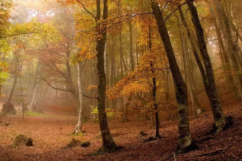 Apartamento Turistico La Solana