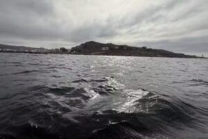 Apartamento tur&iacute;stico S&aacute;nchez alojamiento