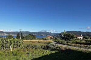 Apartamentos A Oliveira