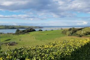 Apartamentos Abra del Pas