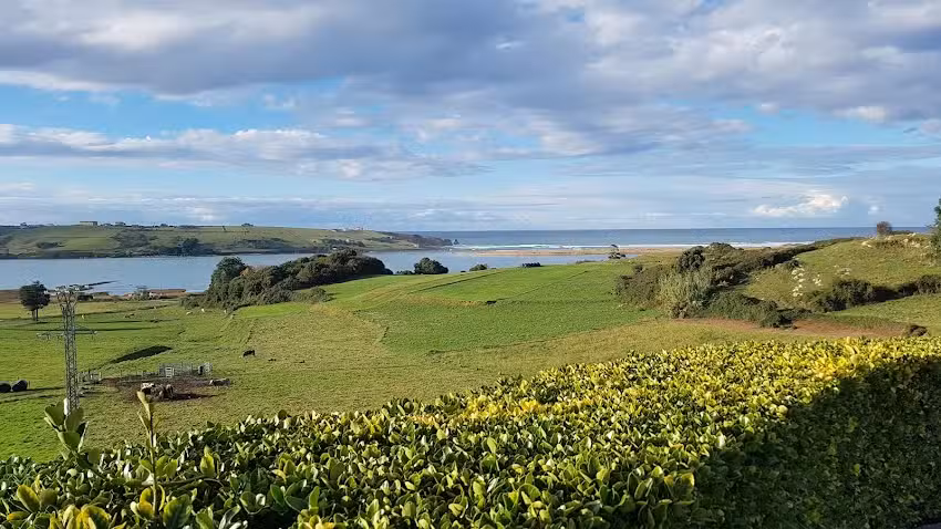 Apartamentos Abra del Pas