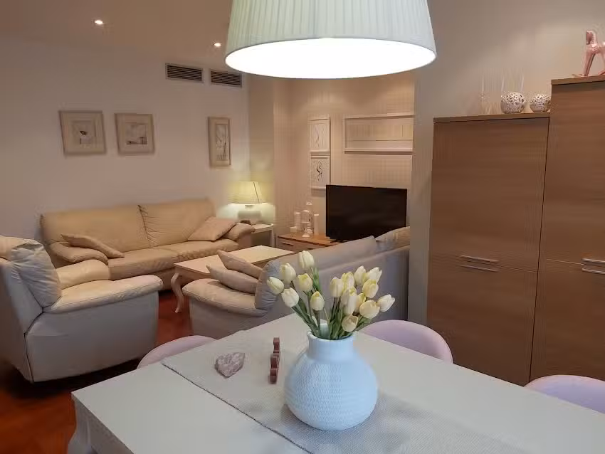 Apartamentos Alca&ntilde;iz&reg;