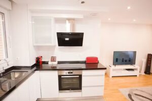 APARTAMENTOS AMAIUR 1