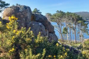 Apartamentos Bella Vista