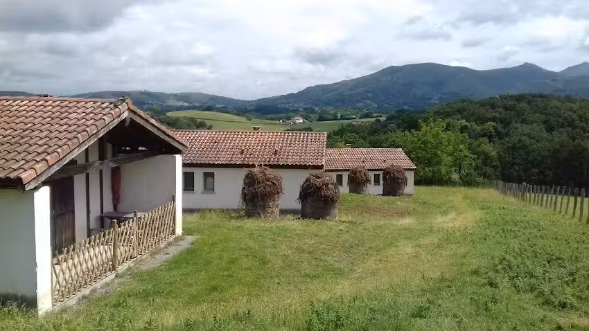 Apartamentos Bordak