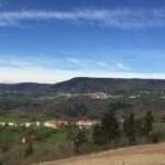 Apartamentos BuenaVista