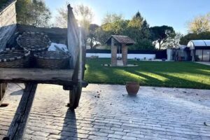 Apartamentos Camino Real