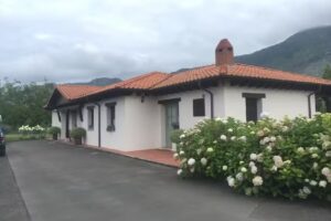 Apartamentos Carramartin