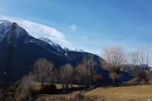 Apartamentos Casa Ferrer