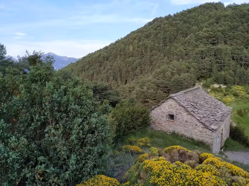 Apartamentos Casa Gistau