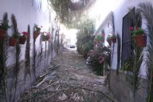 Apartamentos Castor Y Polux