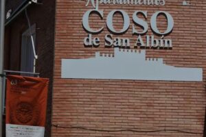 Apartamentos Coso de San Albin