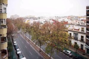 Apartamentos Cruzcampo