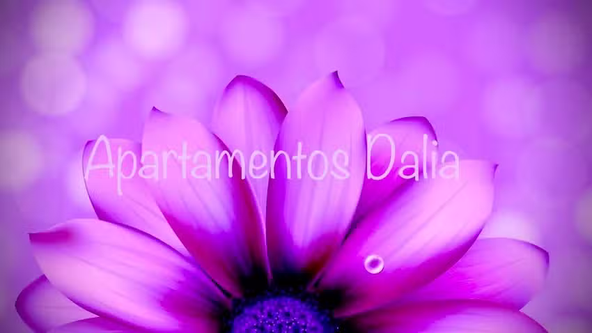 Apartamentos Dalia
