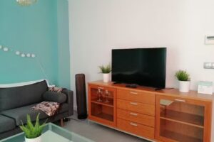 Apartamentos Dos Torres Bilbo