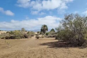 Apartamentos El Capricho, Maspalomas