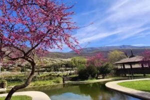 Apartamentos el Huerto del Cura &ndash; Valle del Jerte