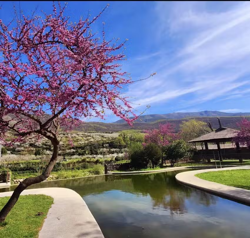 Apartamentos el Huerto del Cura &ndash; Valle del Jerte