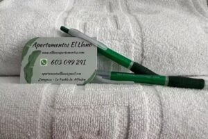 Apartamentos El Llano