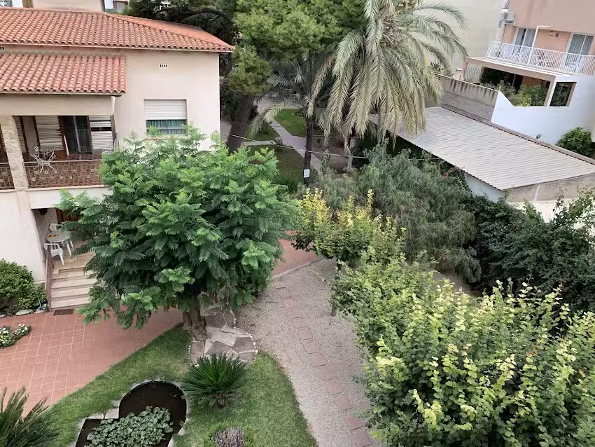 Apartamentos El Oasis Benicarl&oacute;
