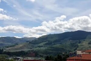 Apartamentos El Olivar de Segura