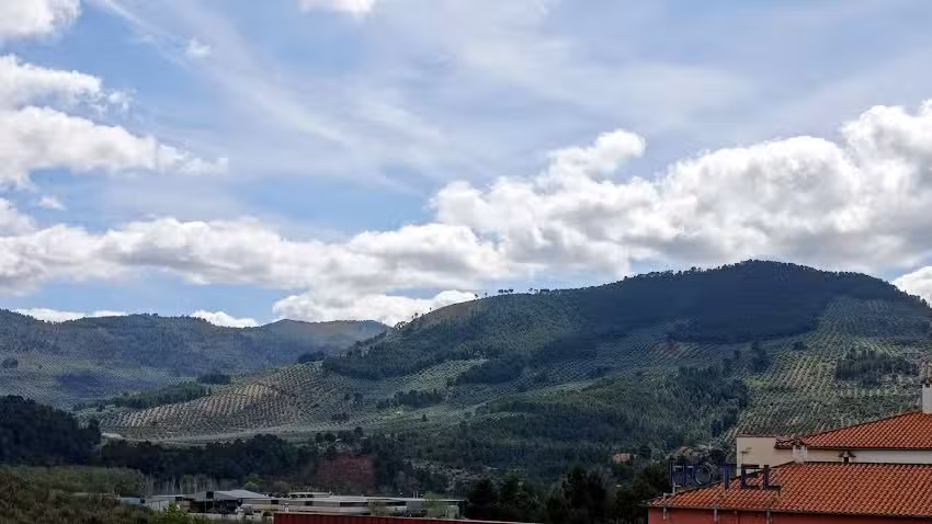 Apartamentos El Olivar de Segura