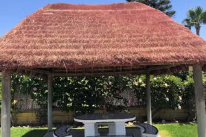 Apartamentos El Palmar Costa