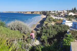 Apartamentos El Roqueo