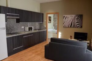 Apartamentos Elizondo