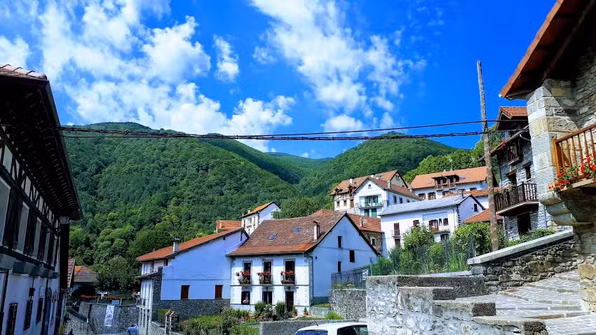 Apartamentos en isaba Aiestaenea