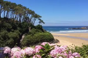 Apartamentos Entreplayas Tapia