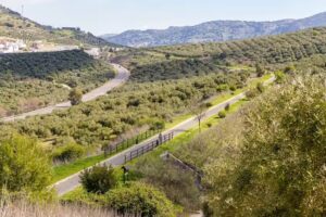 Apartamentos Fleming 10