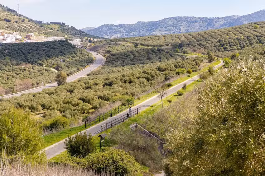 Apartamentos Fleming 10