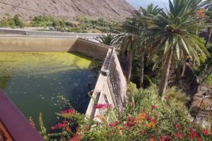 Apartamentos Flor de Lis