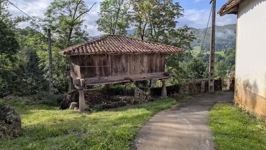 Apartamentos La Cortina de Cora&iacute;n