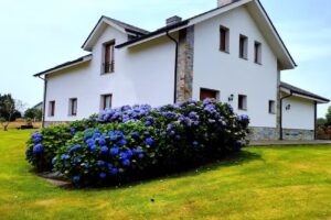 Apartamentos La Cruz de Paderne