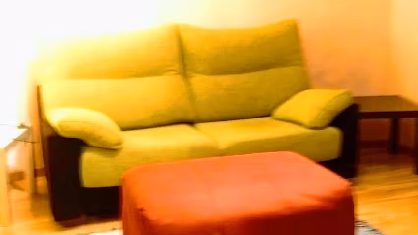 Apartamentos La Panerona