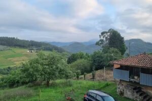 Apartamentos La Peral