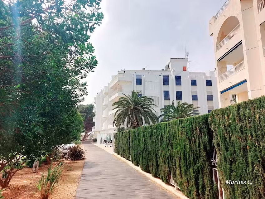 Apartamentos Las Margaritas